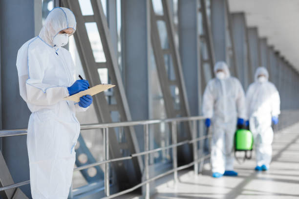 Best Mold Removal for HVAC Installations  in Brunswick, OH