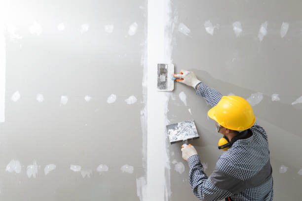 Best Airborne Mold Testing  in Brunswick, OH