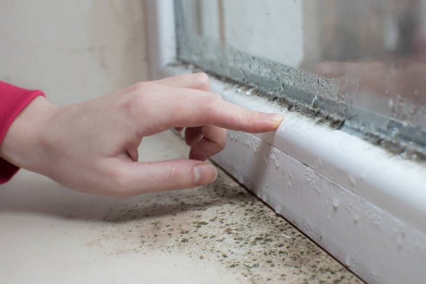 Best Post-Remediation Verification Testing  in Brunswick, OH