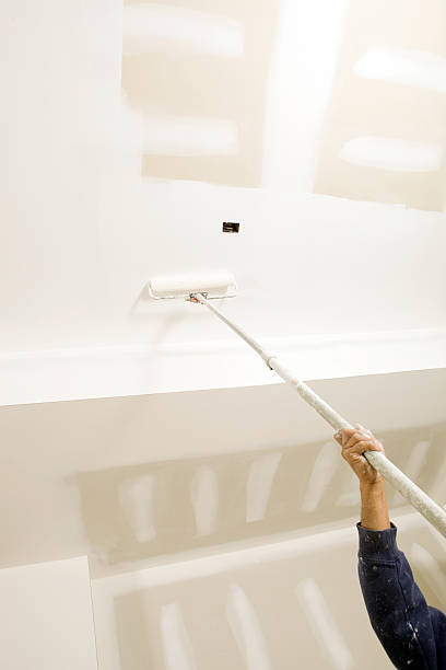 Best Dehumidification Services  in Brunswick, OH