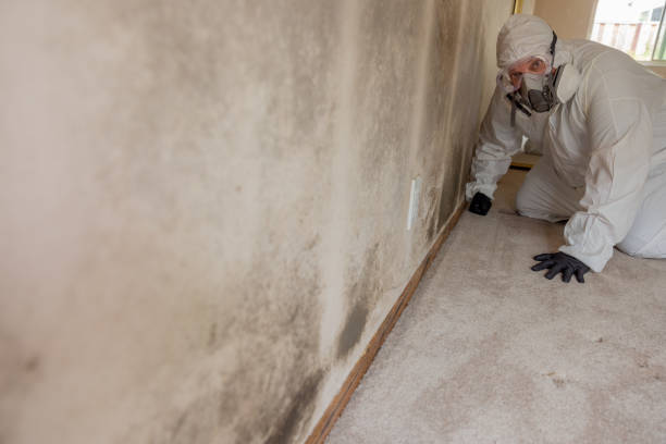Best HVAC Mold Inspection and Cleaning  in Brunswick, OH