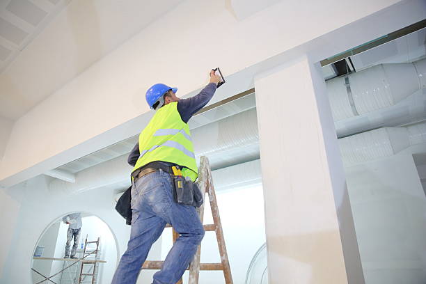 Best Basement Mold Removal  in Brunswick, OH