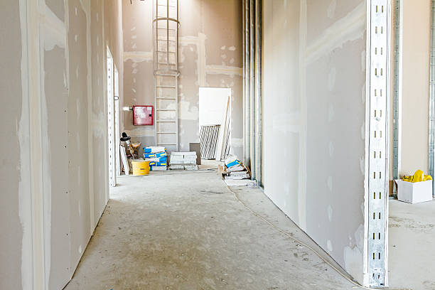 Best Mold Odor Removal Services  in Brunswick, OH