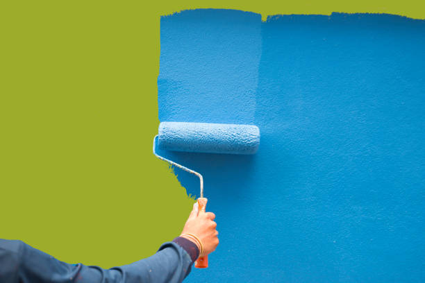 Best Biohazard Mold Removal  in Brunswick, OH