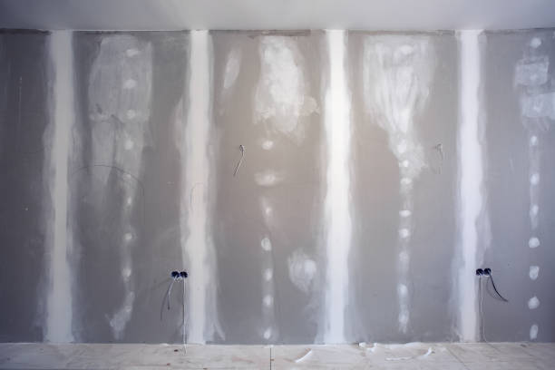 Best Industrial Mold Remediation  in Brunswick, OH